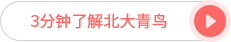 三分钟了解北大青鸟