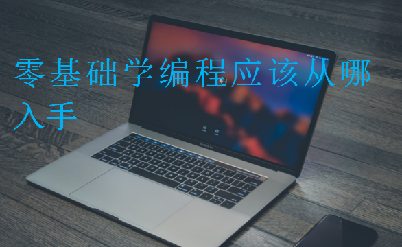 零基础学编程应该从哪入手