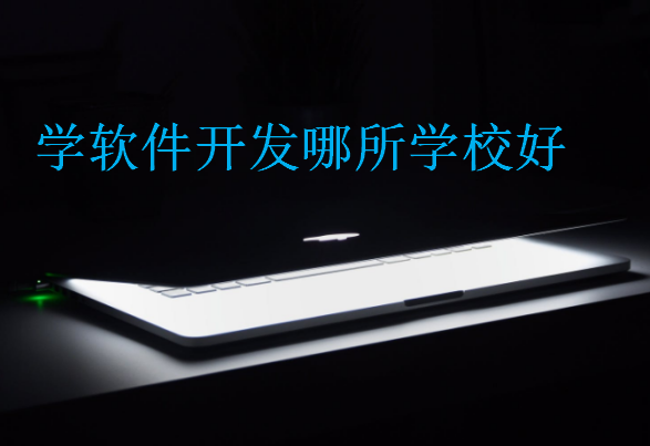 学软件开发哪所学校好