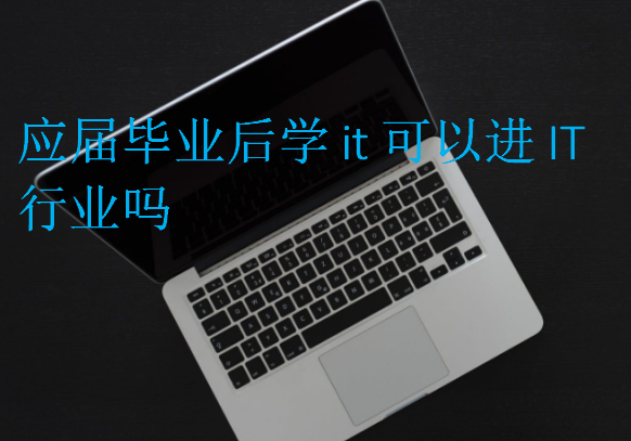 应届毕业后学it可以进IT行业吗