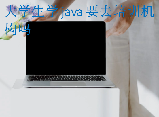 大学生学java要去培训机构吗