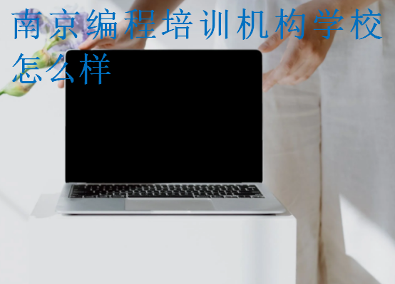 南京编程培训机构学校怎么样