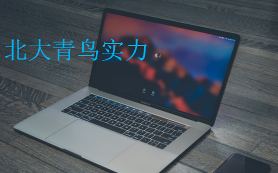 北大青鸟实力