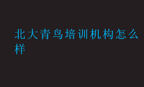 北大青鸟培训机构怎么样