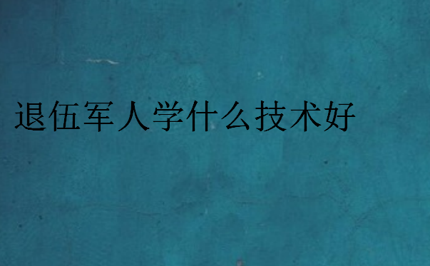 退伍军人学什么技术好