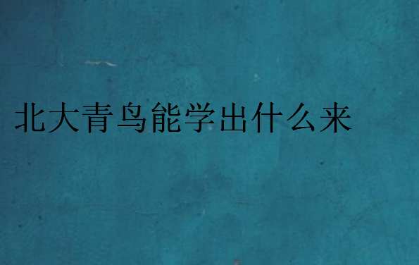 北大青鸟能学出什么来