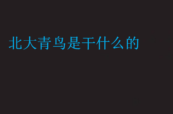 北大青鸟是干什么的