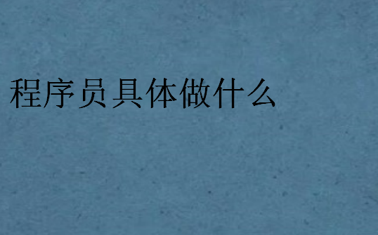 程序员具体做什么