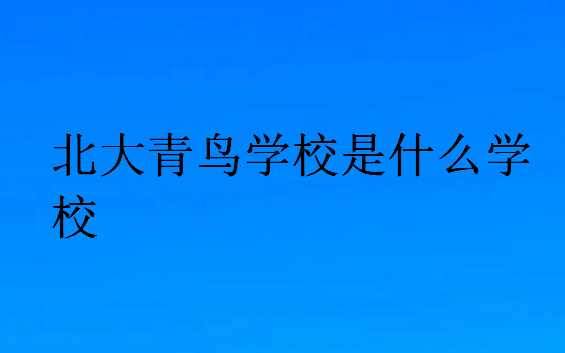 北大青鸟学校是什么学校