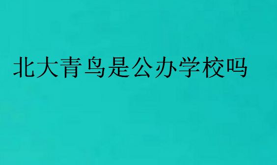 北大青鸟是公办学校吗