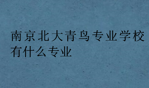 南京北大青鸟专业学校有什么专业