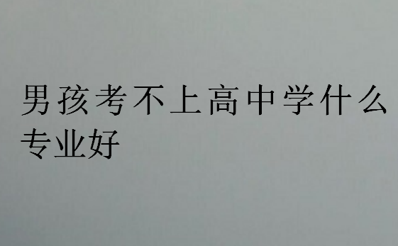 男孩考不上高中学什么专业好