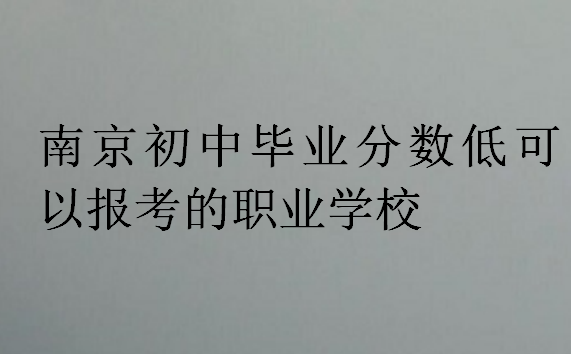 南京初中毕业分数低可以报考的职业学校