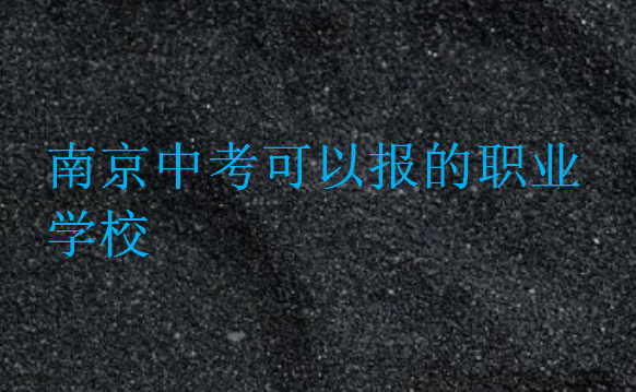 南京中考可以报的职业学校
