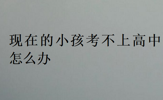 现在的小孩考不上高中怎么办