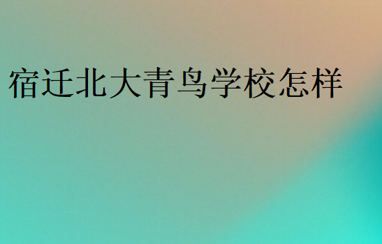 宿迁北大青鸟学校怎样
