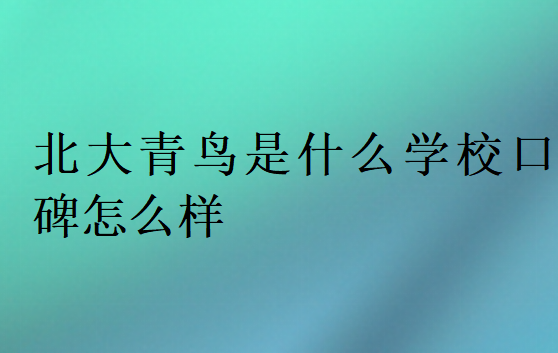 北大青鸟是什么学校口碑怎么样