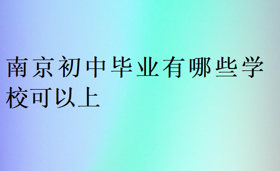 南京初中毕业有哪些学校可以上