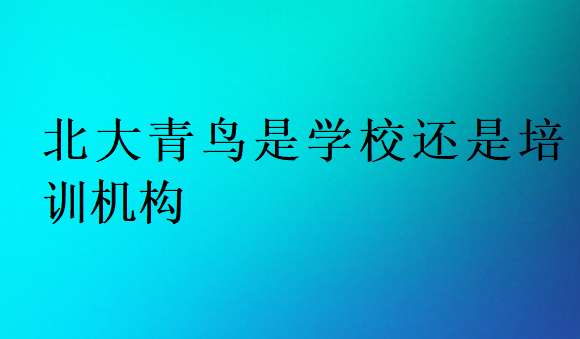 北大青鸟是学校还是培训机构