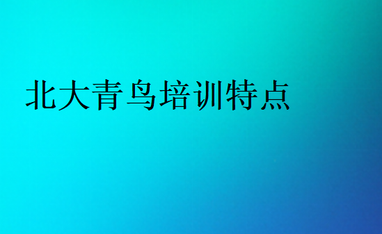 北大青鸟培训特点