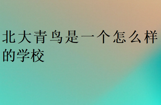 北大青鸟是一个怎么样的学校