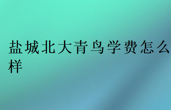盐城北大青鸟学费怎么样要多少