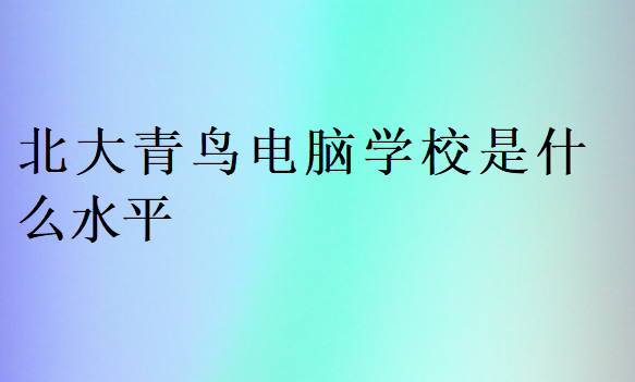 北大青鸟电脑学校是什么水平