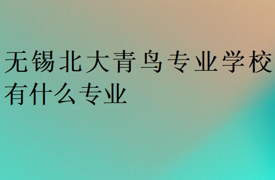 无锡北大青鸟专业学校有什么专业