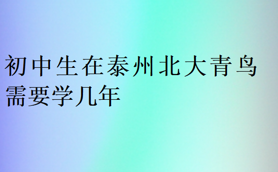 初中生在泰州北大青鸟需要学几年