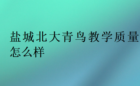 盐城北大青鸟教学质量怎么样