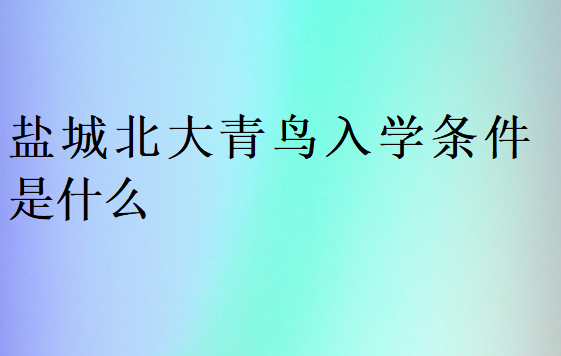 盐城北大青鸟入学条件是什么