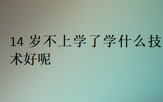 14岁不上学了学什么技术好呢