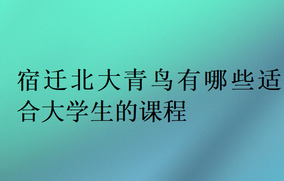 宿迁北大青鸟有哪些适合大学生的课程