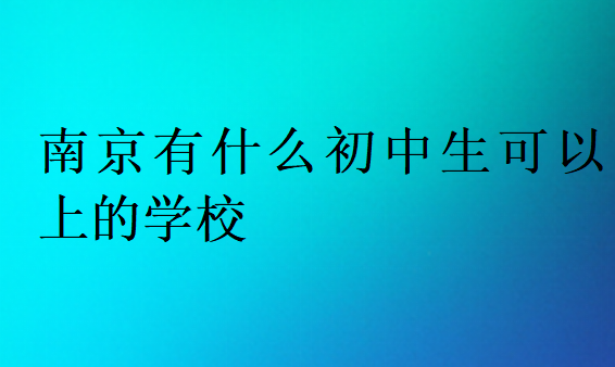 南京有什么初中生可以上的学校