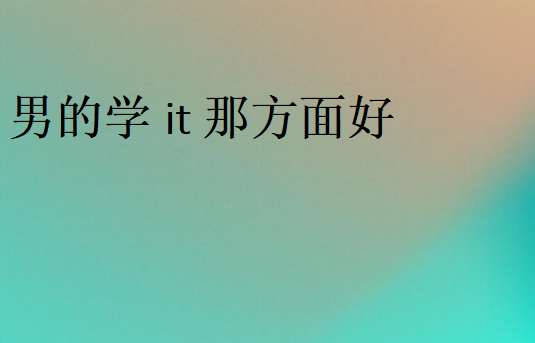 男的学it那方面好