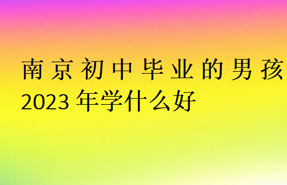 南京初中毕业的男孩2023年学什么好