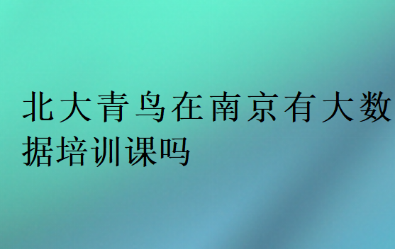 北大青鸟在南京有大数据培训课吗