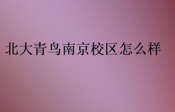 北大青鸟南京校区怎么样