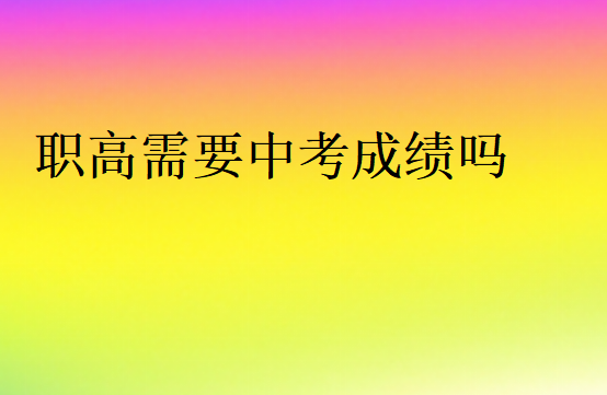 没中考成绩上职高
