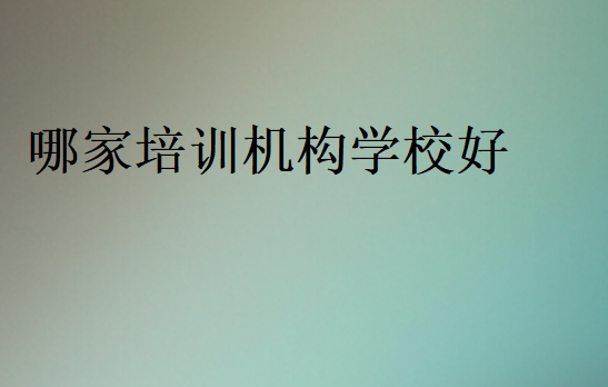 哪家培训机构学校好