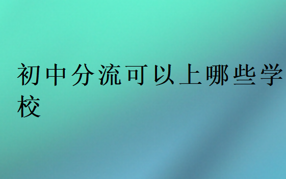 初中分流可以上哪些学校