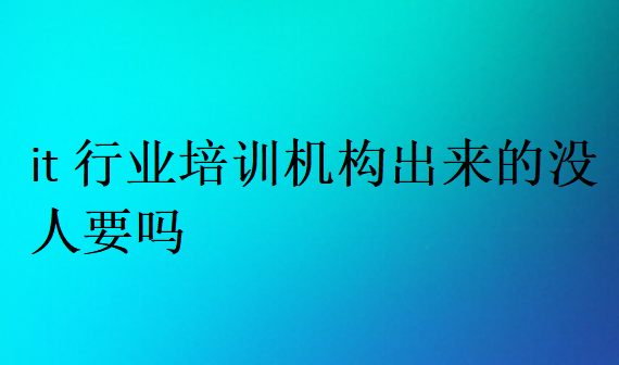 it行业培训机构出来的没人要吗