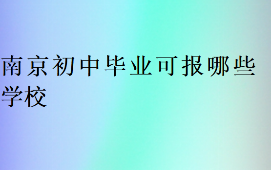 南京初中毕业可报哪些学校